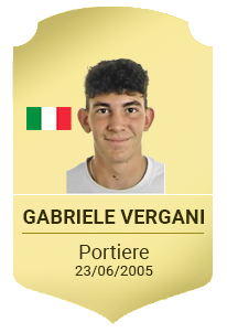 GABRIELE VERGANI